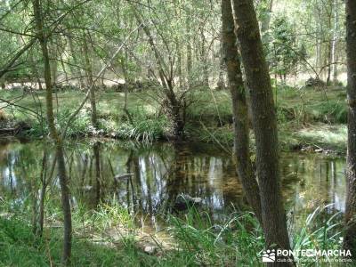 Cañones del Río Cega y  Santa Águeda  – Pedraza;viajes puente de octubre viajes en marzo